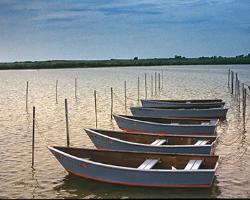 Rowboats Eastneck Island 4x5-web