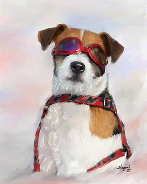 Jack Russels, Cards Made in Maryland by Maryland Artist Hounds, Dogs Note Cards by Hagan
