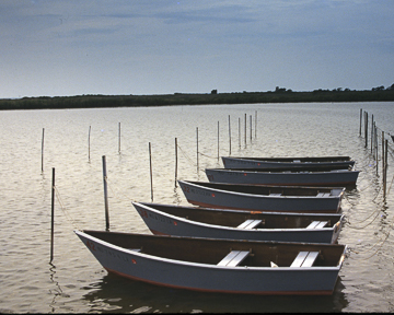 rowboats